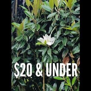 $20 & UNDER